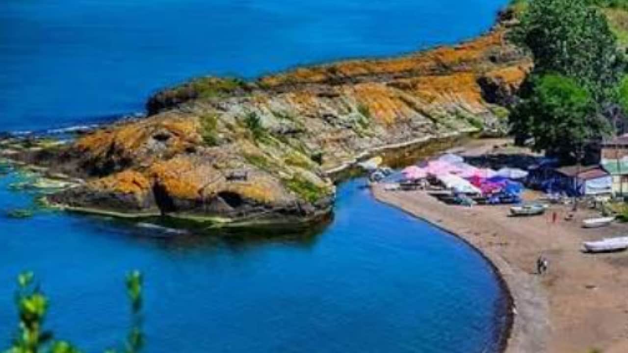 Karadeniz kıyısında doğa harikası! Herkes timsahı görmeye geliyor!