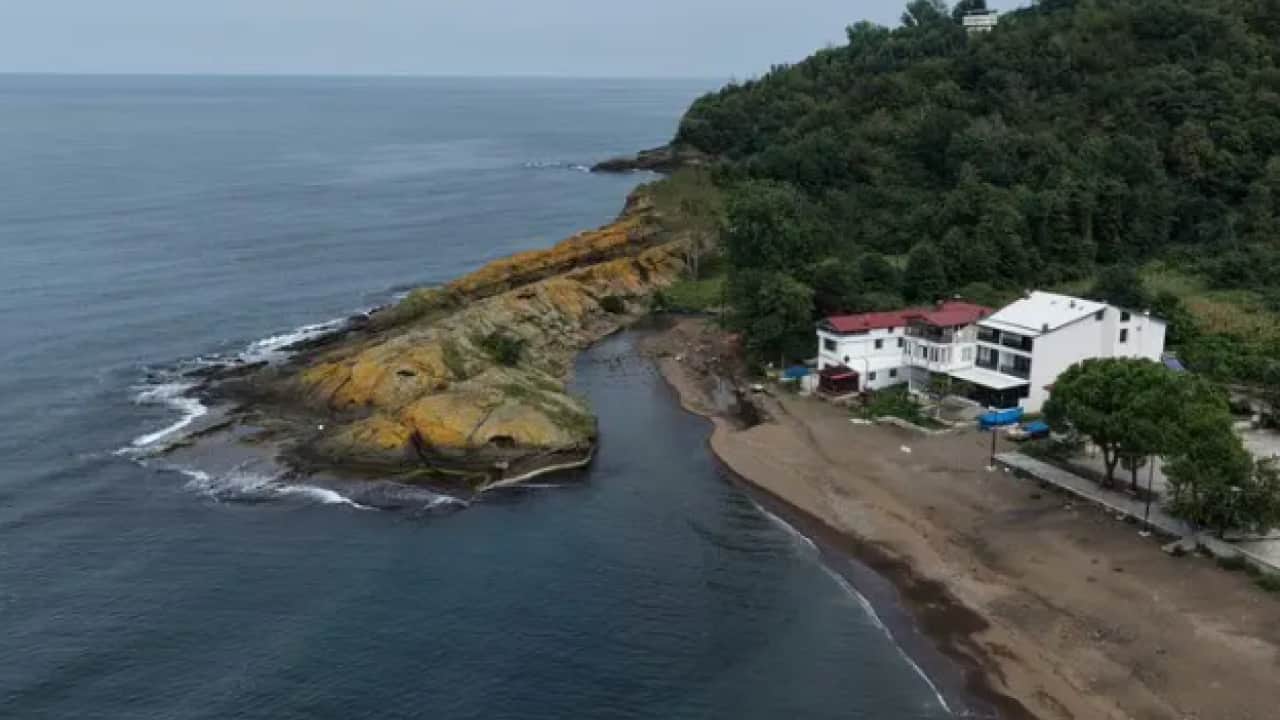 Foto - Karadeniz kıyısında doğa harikası! Herkes timsahı görmeye geliyor!