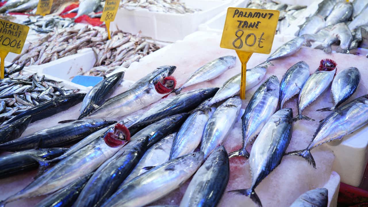Foto - Karadeniz patladı: Palamut fışkırıyor! Tanesi 80 liraya, 4 tanesi 300 lira düştü 