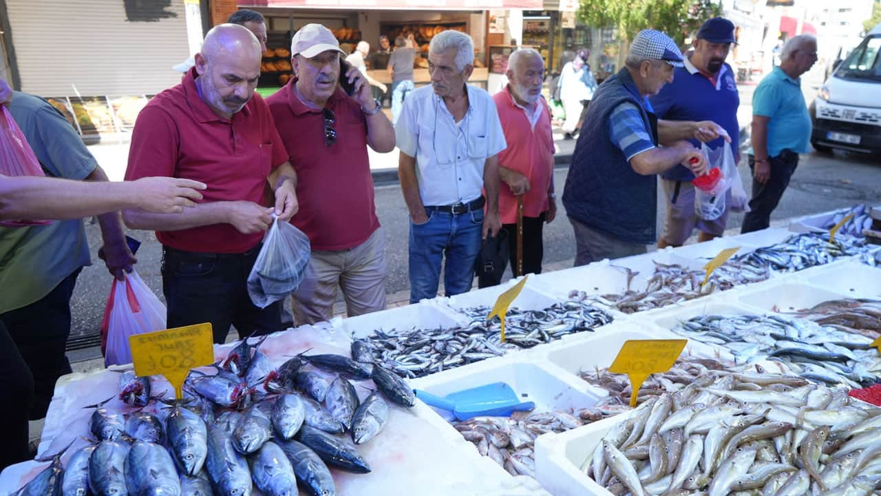 Karadeniz patladı: Palamut fışkırıyor! Tanesi 80 liraya, 4 tanesi 300 lira düştü 