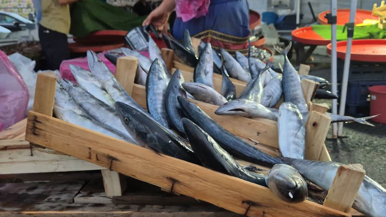 Foto - Karadeniz patladı: Palamut fışkırıyor! Tanesi 80 liraya, 4 tanesi 300 lira düştü 