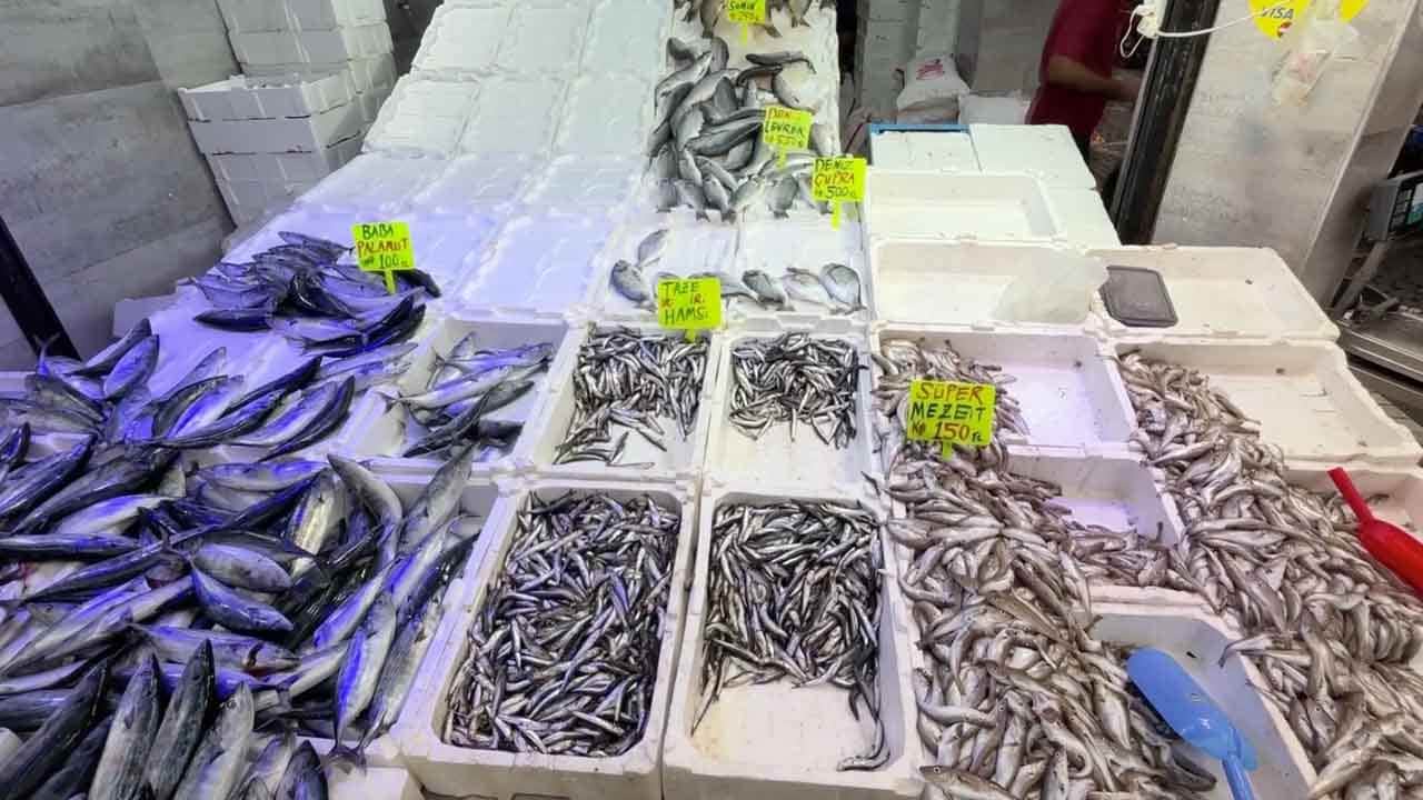 Foto - Karadeniz'de balık bolluğu: Palamut fiyatları dibe vurdu!