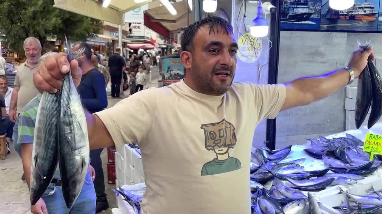 Karadeniz'de balık bolluğu: Palamut fiyatları dibe vurdu!