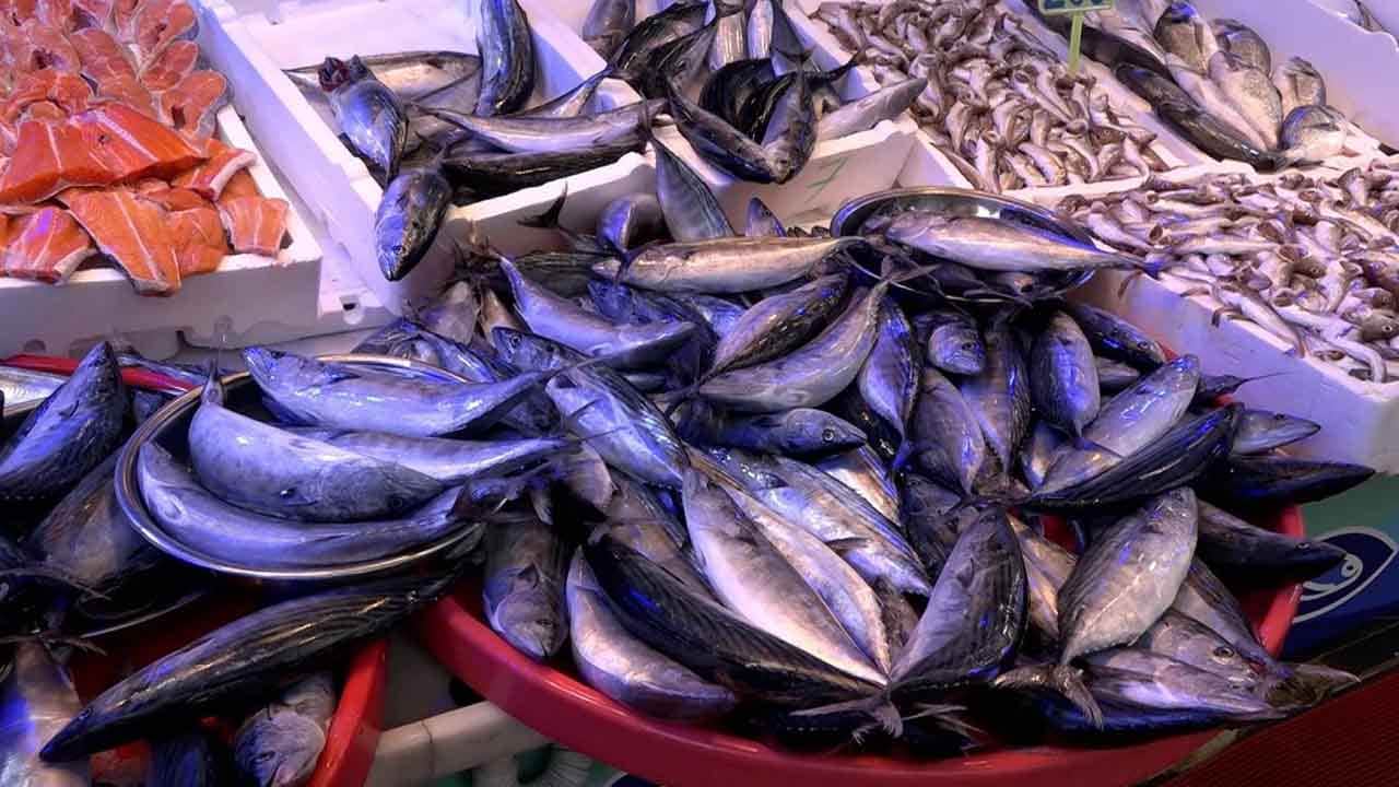 Foto - Karadeniz'de balık bolluğu: Palamut fiyatları dibe vurdu!