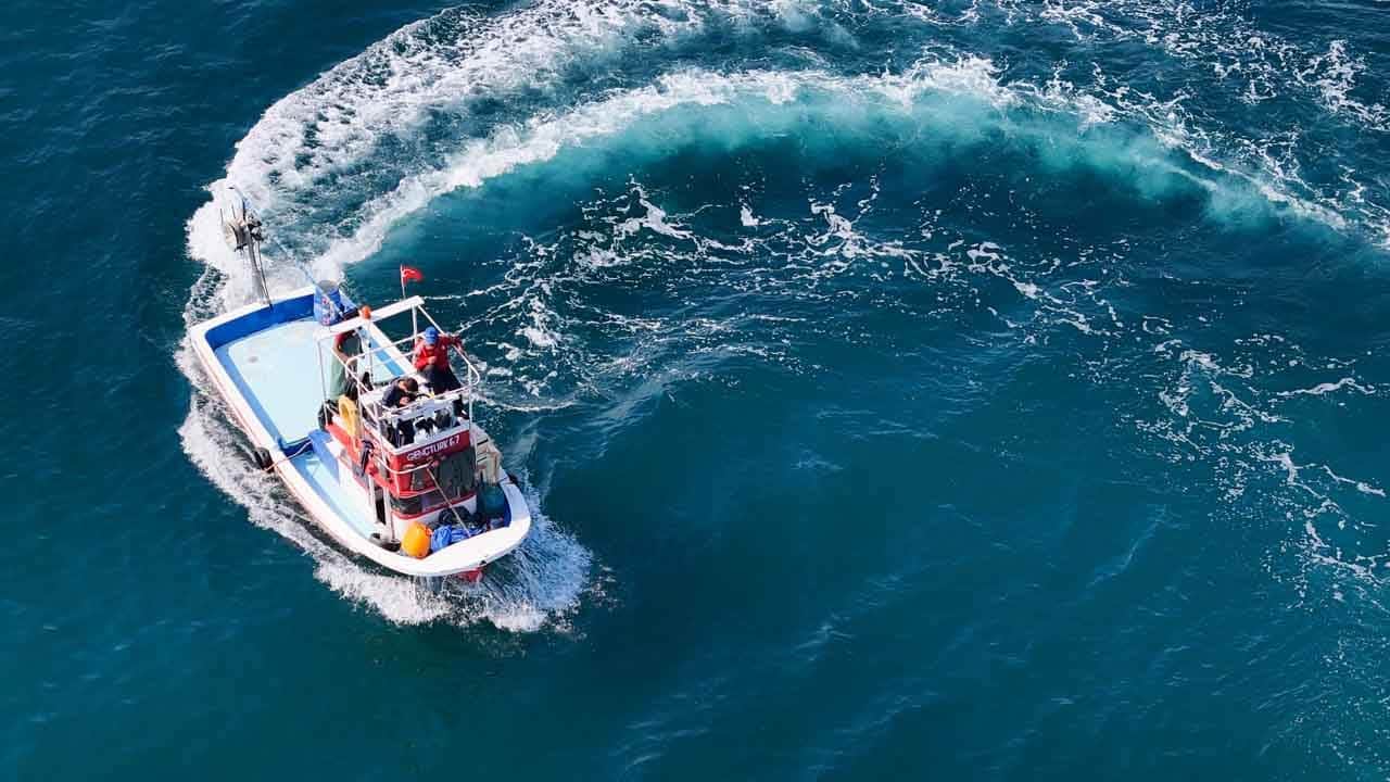 Karadeniz’de palamut bereketi: Ağlar ağırlaştı, tezgahlar şenlendi