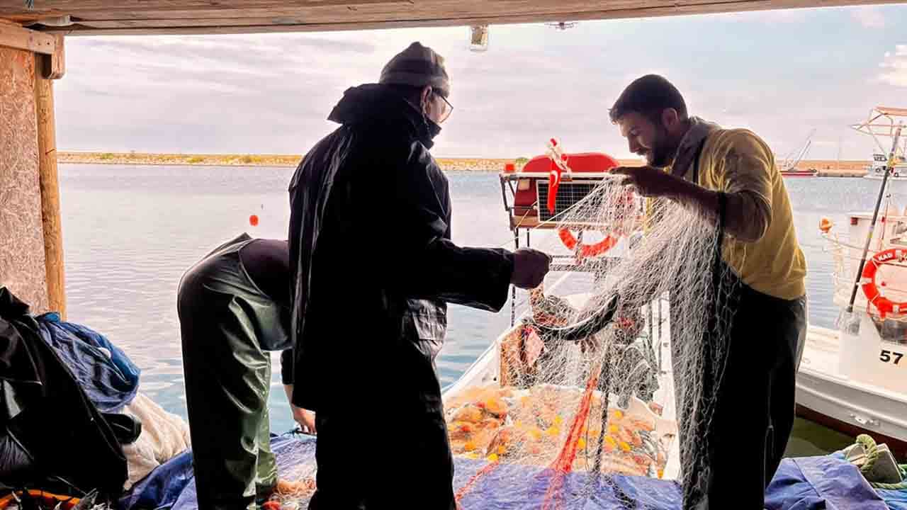 Foto - Karadeniz'de palamut bereketi: Limana rekor avla döndüler