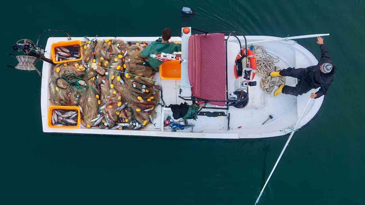 Karadeniz'de palamut bereketi: Limana rekor avla döndüler