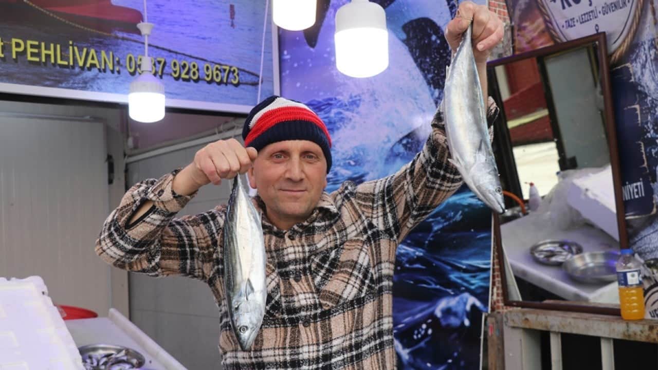 Karadeniz’in bereketi tezgâhlara yansıdı! En ucuz balık palamut oldu