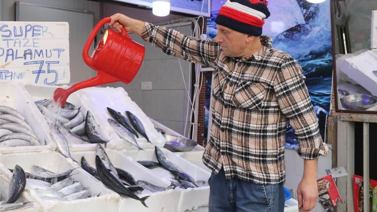 Foto - Karadeniz’in bereketi tezgâhlara yansıdı! En ucuz balık palamut oldu