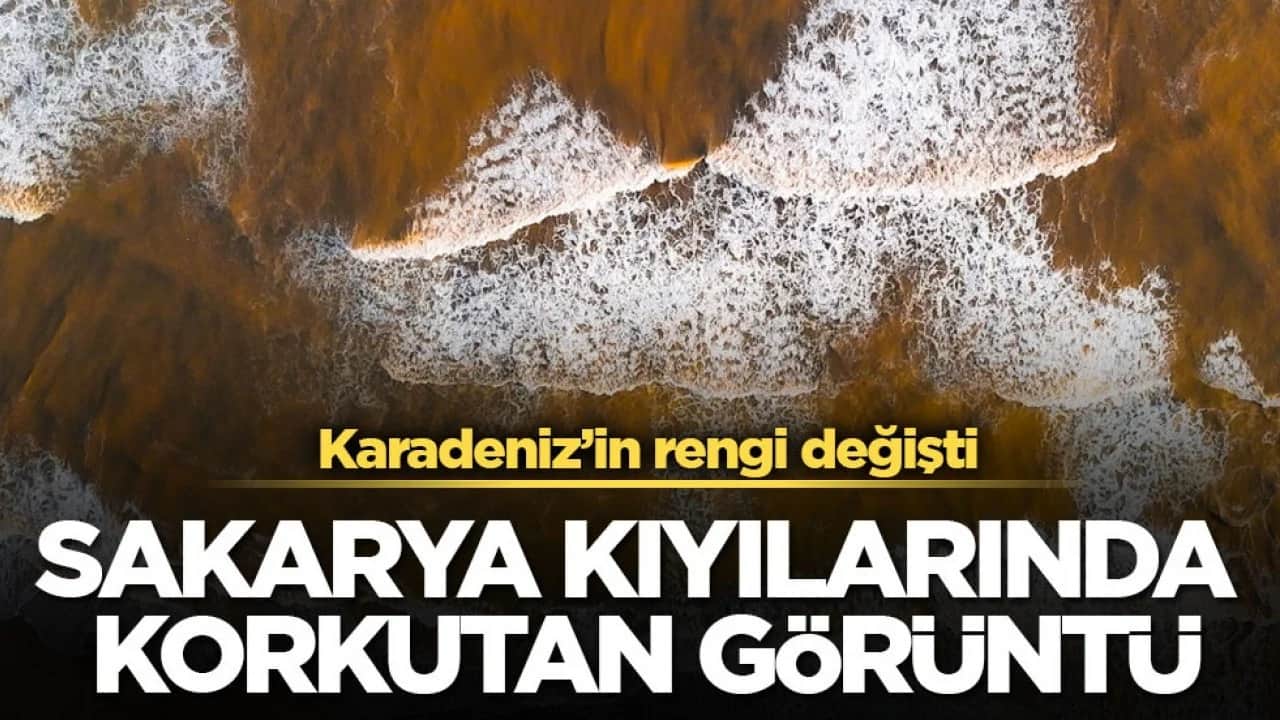 Karadeniz’in rengi değişti! Sakarya kıyılarında korkutan görüntü