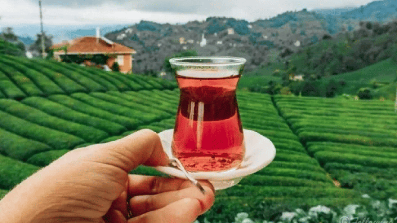 Foto - Karadenizlilerin sırrı ortaya çıktı: Çayın acısı nasıl azaltılır?