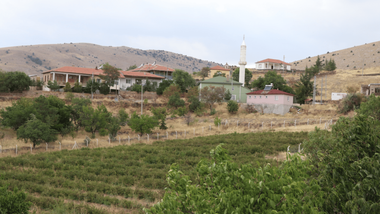 Foto - Büyük bir azimle başlamıştı: Binlerce kök aronya elinde kaldı