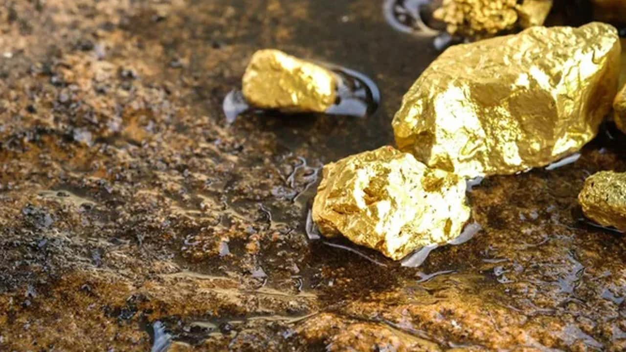 Kaybolan keçisini ararken kilolarca altın buldu: Bütün ülke oraya akın etti