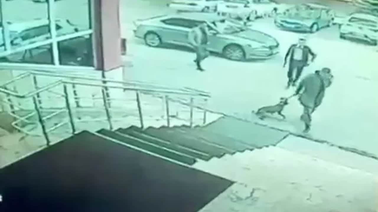 Foto - "Kaymakam tekme attı, koruması silahını çekti" denilmişti! Erzurum’u karıştıran iddiayla ilgili kritik gelişme