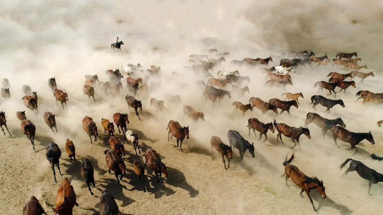 Foto - Kayseri'de Türkiye Kültür Yolu heyecanı başladı...