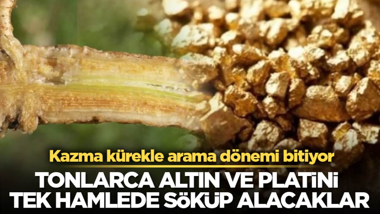 Kazma kürekle arama dönemi bitiyor! Tonlarca altın ve platini tek hamlede söküp alacaklar