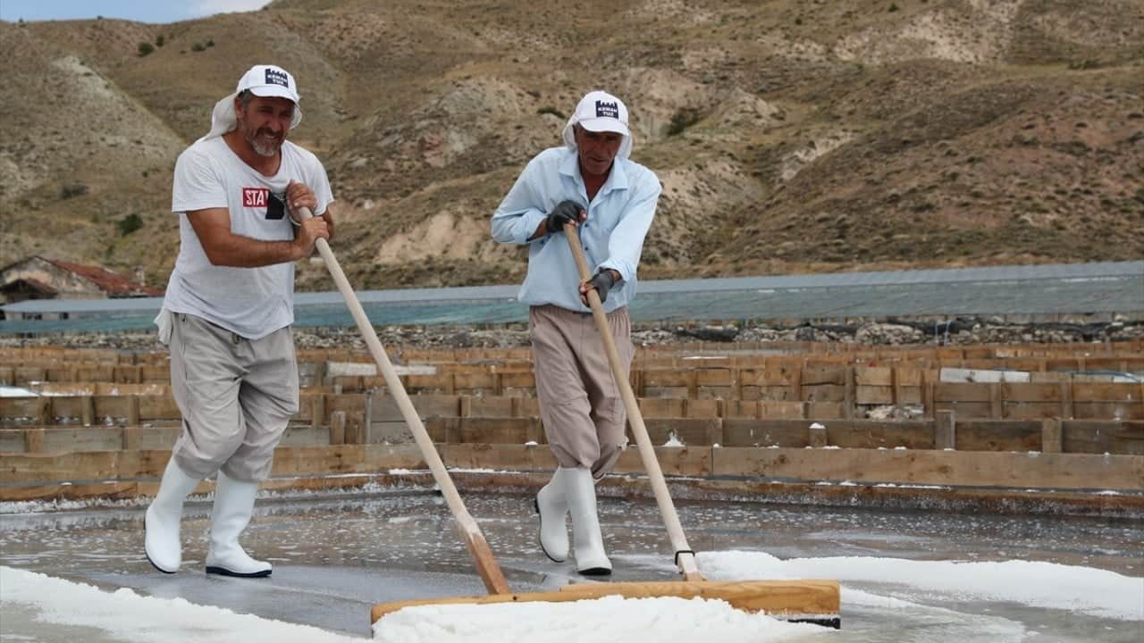 Kemah’ın asırlık tuzu serası Sofraların vazgeçilmezi Erzincan’dan