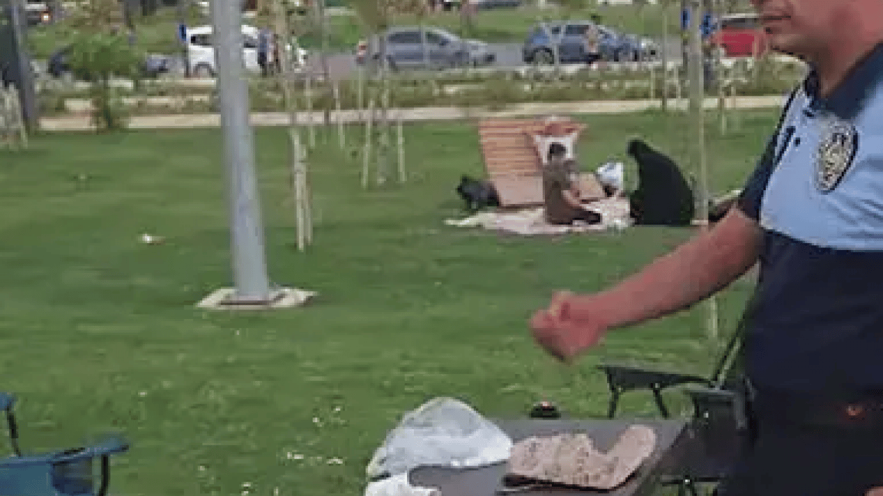 Foto - Keyifleri kursaklarında kaldı: Çekirdek yerken hayatlarının şokunu yaşadılar! 