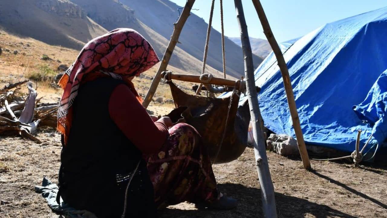Foto - Kilosu 5 bin ile 10 bin lira arasında Şırnak yaylalarında yapılıyor yüzde yüz organik