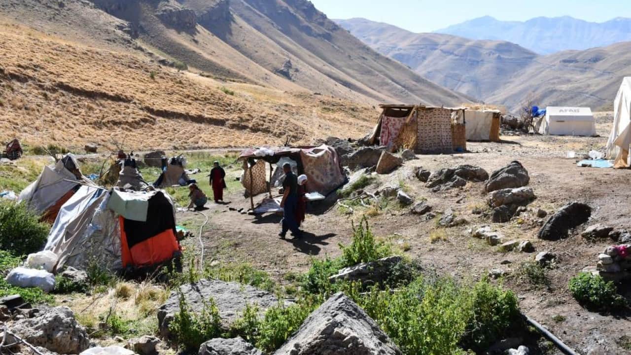 Foto - Kilosu 5 bin ile 10 bin lira arasında Şırnak yaylalarında yapılıyor yüzde yüz organik