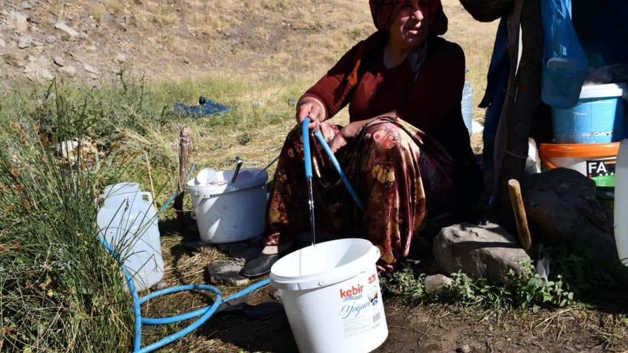 Foto - Kilosu 5 bin ile 10 bin lira arasında Şırnak yaylalarında yapılıyor yüzde yüz organik