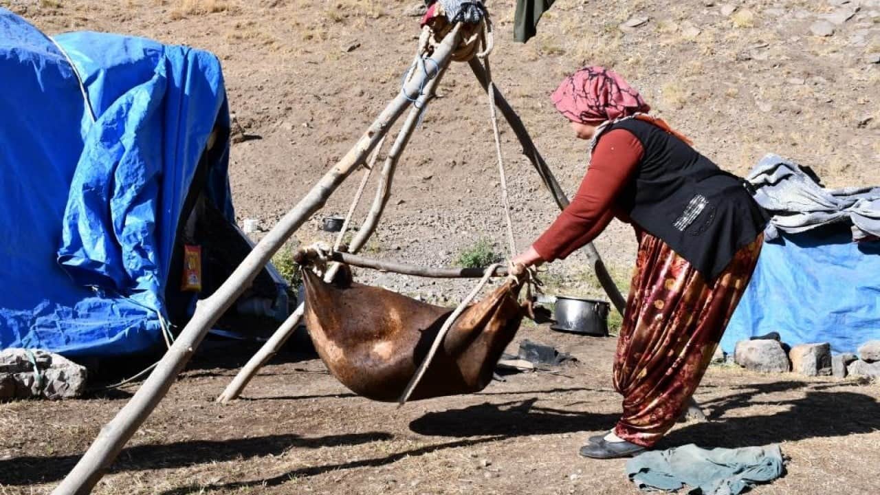 Foto - Kilosu 5 bin ile 10 bin lira arasında Şırnak yaylalarında yapılıyor yüzde yüz organik