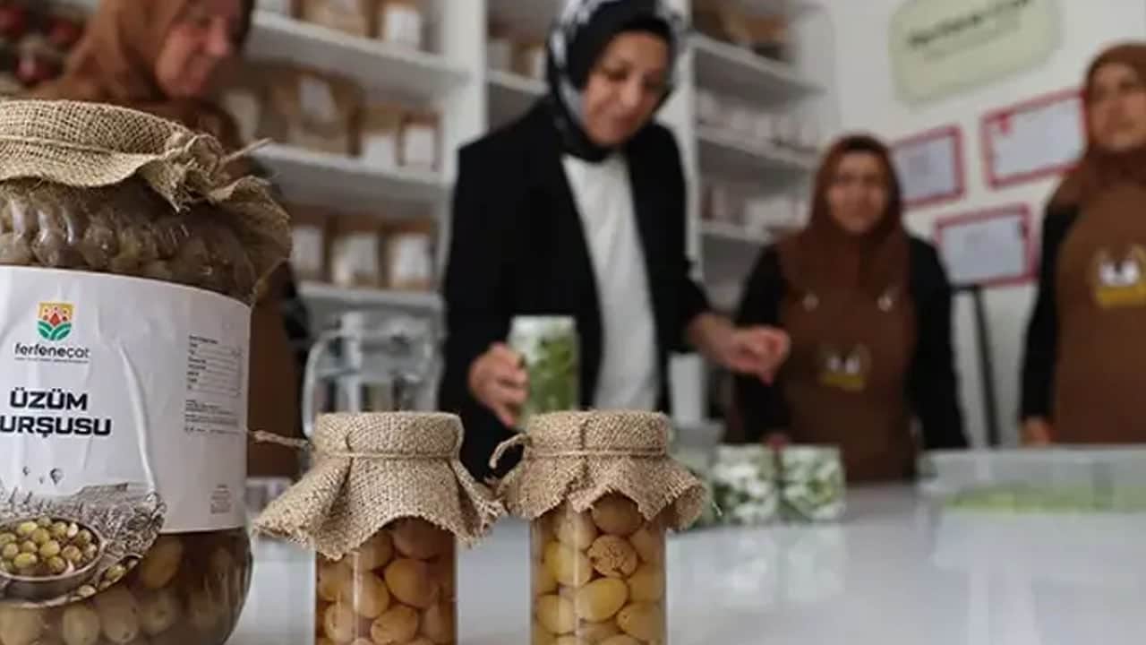 Kimseler bilmiyordu, şimdi tescillendi: Kadınların geleneksel yollarla elde ettiği sıra dışı yemek: Üzüm turşusu