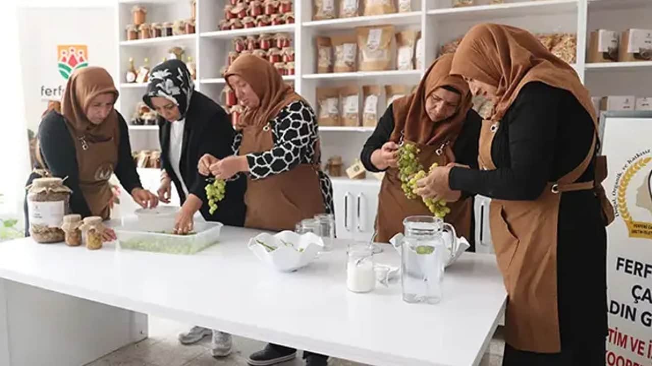 Foto - Kimseler bilmiyordu, şimdi tescillendi: Kadınların geleneksel yollarla elde ettiği sıra dışı yemek: Üzüm turşusu