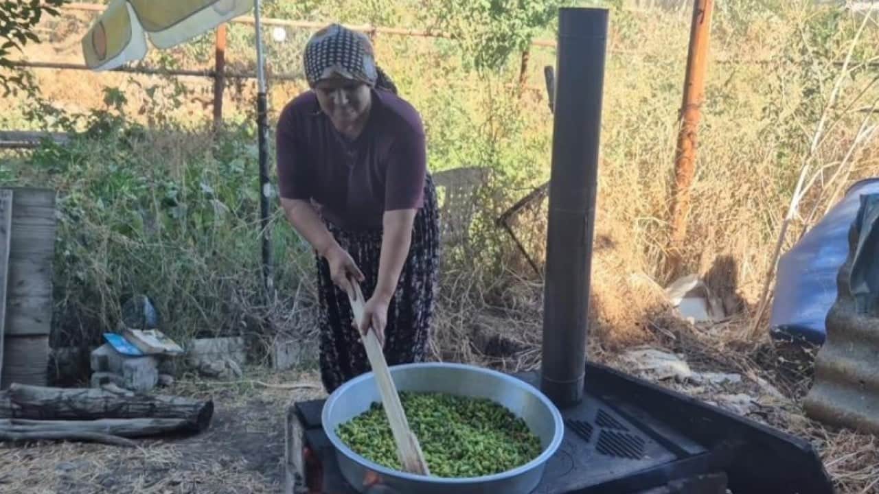 Foto - Kış hazırlıkları başladı: Ucuzken alıp aylarca saklıyorlar