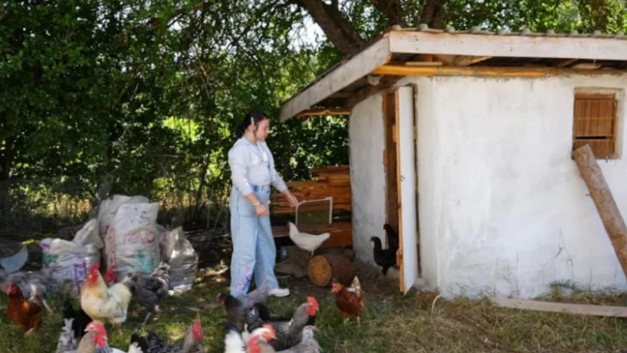 Kızı için İstanbul'u bıraktı: Köyde yeni bir hayata başladılar!