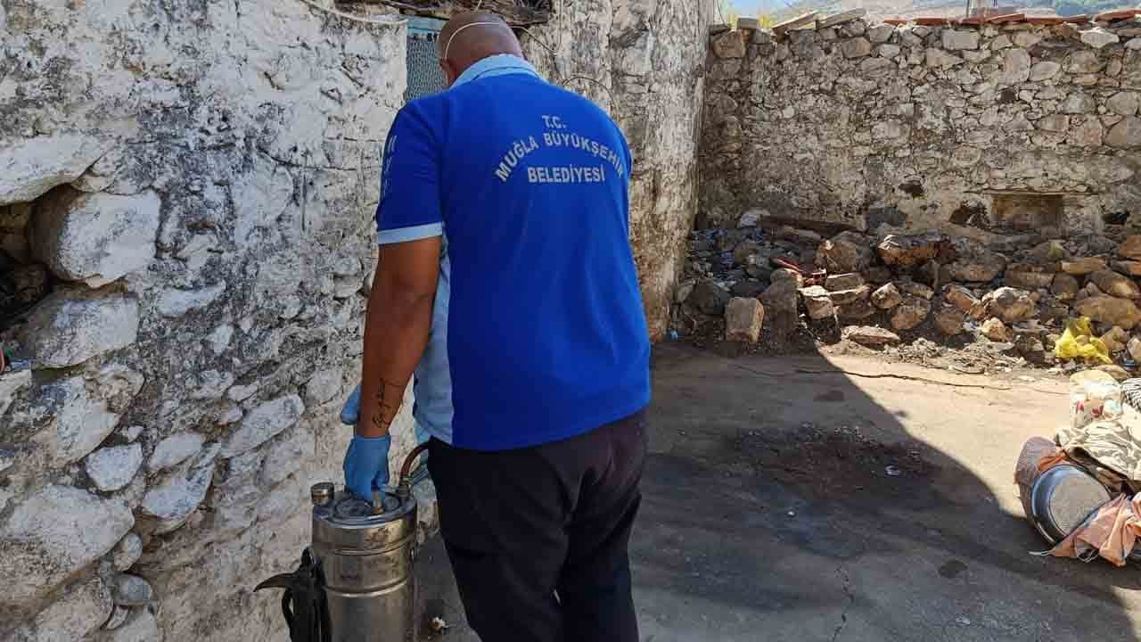 Foto - Kokudan durulmuyordu: Evden 5 ton çöp çıkarıldı