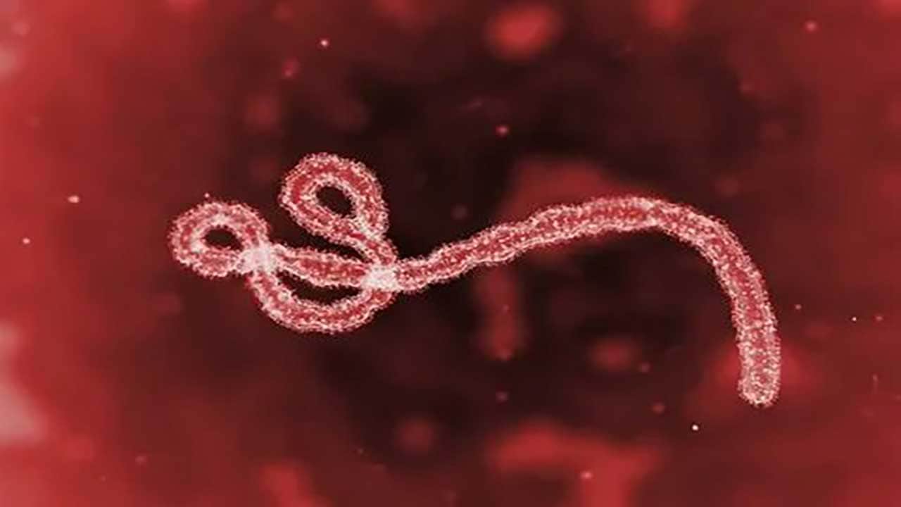 Foto - Kongo Demokratik Cumhuriyeti’nde ölümcül virüs faciası! Ebola krizinde acı bilanço açıklandı!