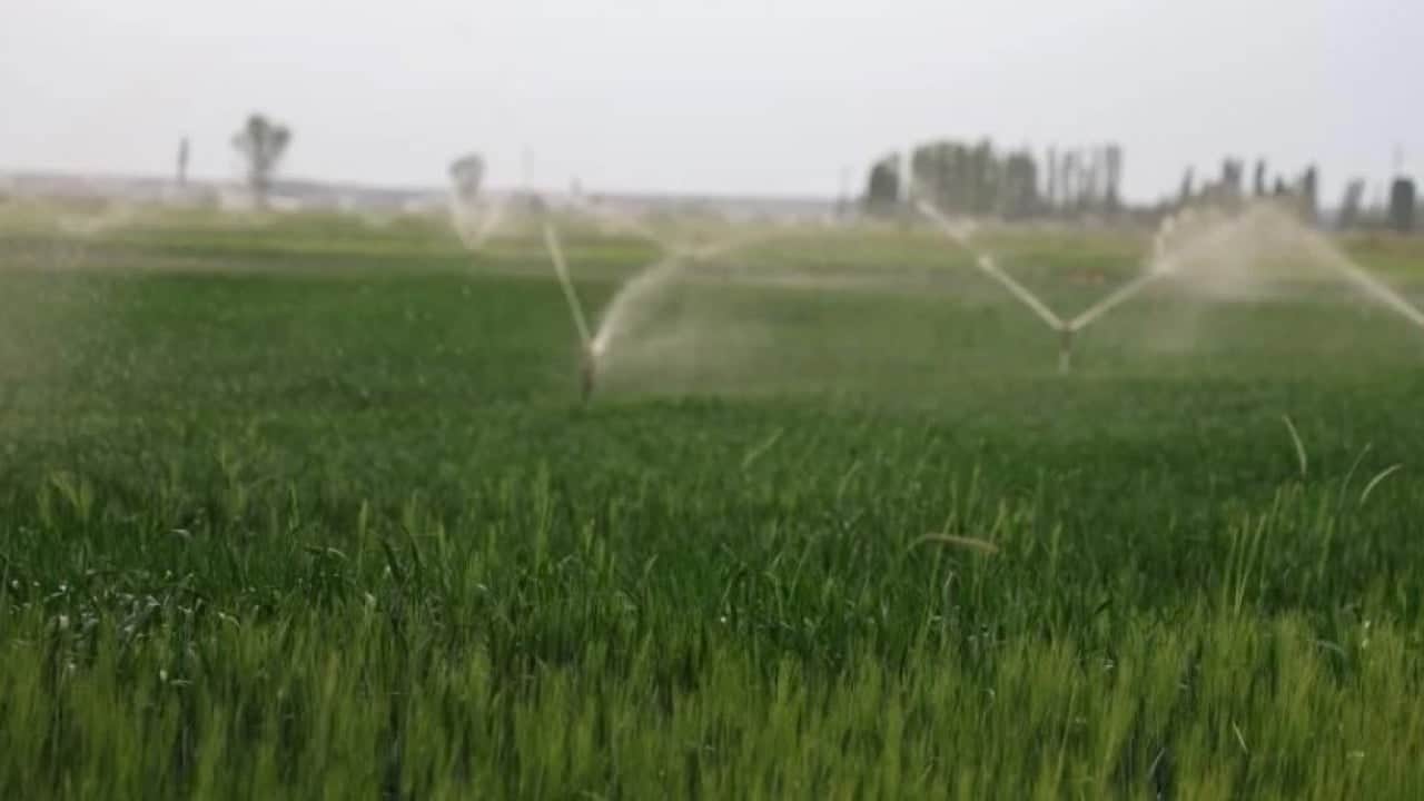 Foto - Konya’da alarm zilleri çalıyor: Sayı 740’ı geçti