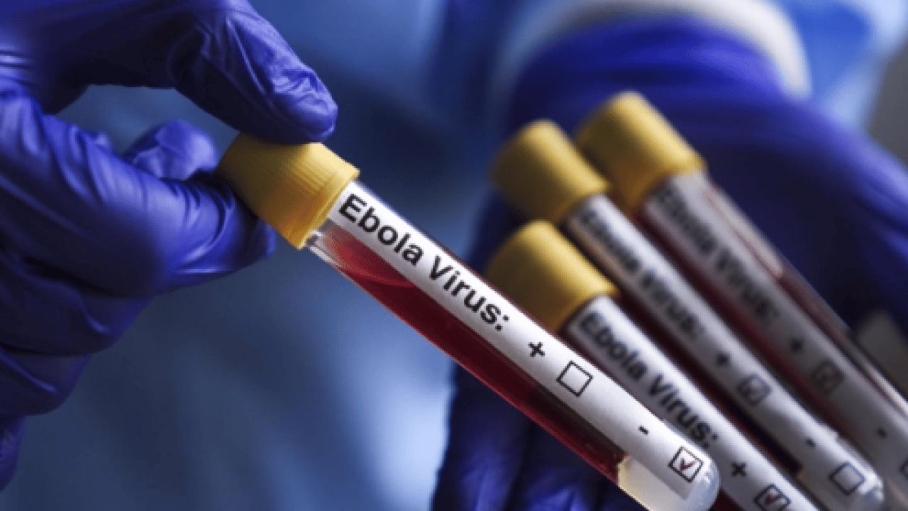 Foto - Korkunç bilanço resmen açıklandı: Ebola salgını 1 ayda ülkeyi esir aldı