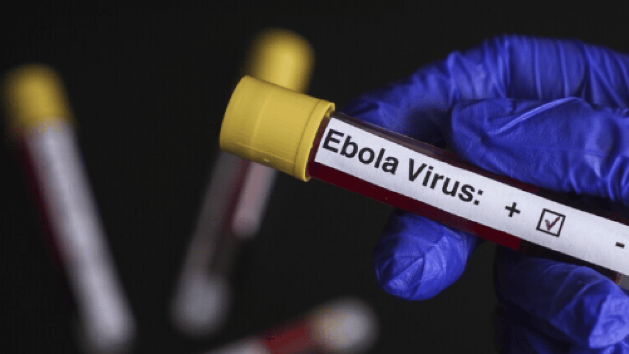 Foto - Korkunç bilanço resmen açıklandı: Ebola salgını 1 ayda ülkeyi esir aldı
