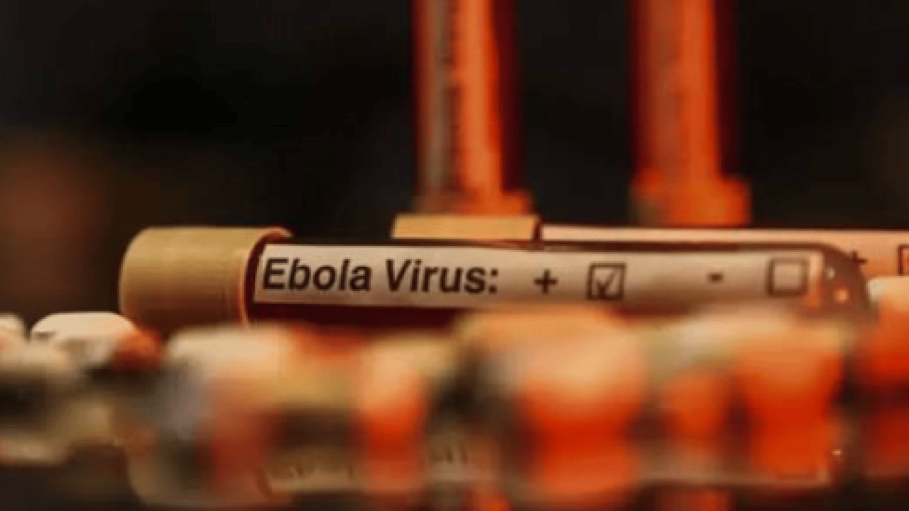 Foto - Korkunç bilanço resmen açıklandı: Ebola salgını 1 ayda ülkeyi esir aldı