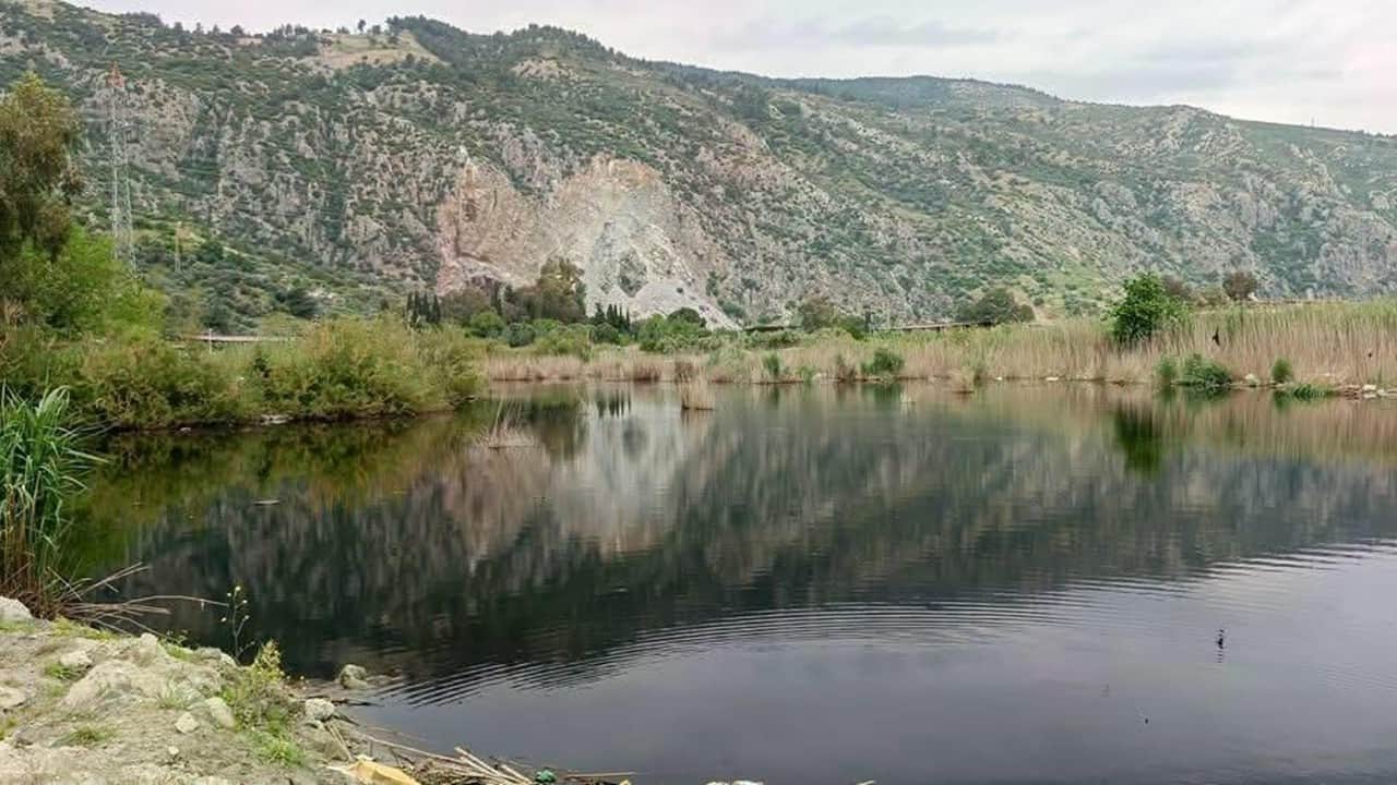 Foto - Koruma altına alındı Uçamayan Kara Leylek tedavi edilecek