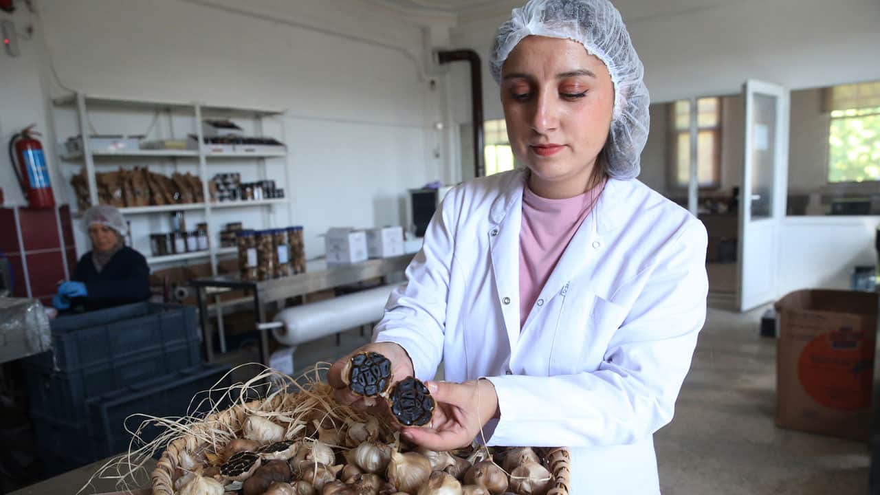 Foto - KOSGEB'ten destek aldı! Taşköprü’nün "beyaz altını" siyah inciye dönüştü