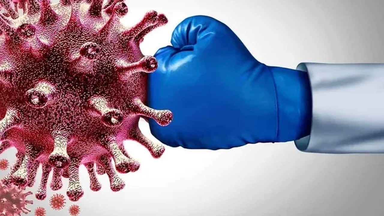 Koyun peyniri katkı sağlıyor: Koyun peyniri neden daha sağlıklıdır? Yayladan peynir olarak soframıza geliyor 