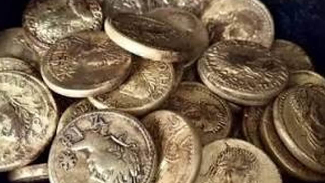 Foto - Kritik o detay... Saksıya bakır para gömün: Tek başına etkisine şaşıracaksınız... Evde bitki yetiştirenler...