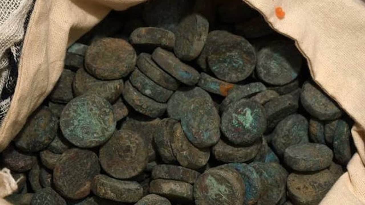 Foto - Kritik o detay... Saksıya bakır para gömün: Tek başına etkisine şaşıracaksınız... Evde bitki yetiştirenler...