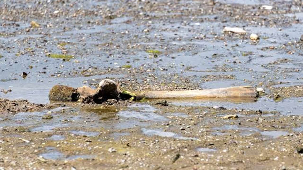 Foto - Kriz uzaydan bile görüldü! Kuraklık Avrupa’nın damarlarını kesti