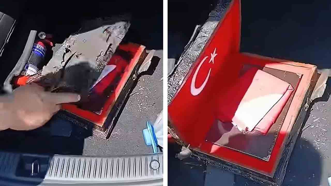 Küller arasında dikkat çeken görüntü! Alevler bile onlara dokunamadı!