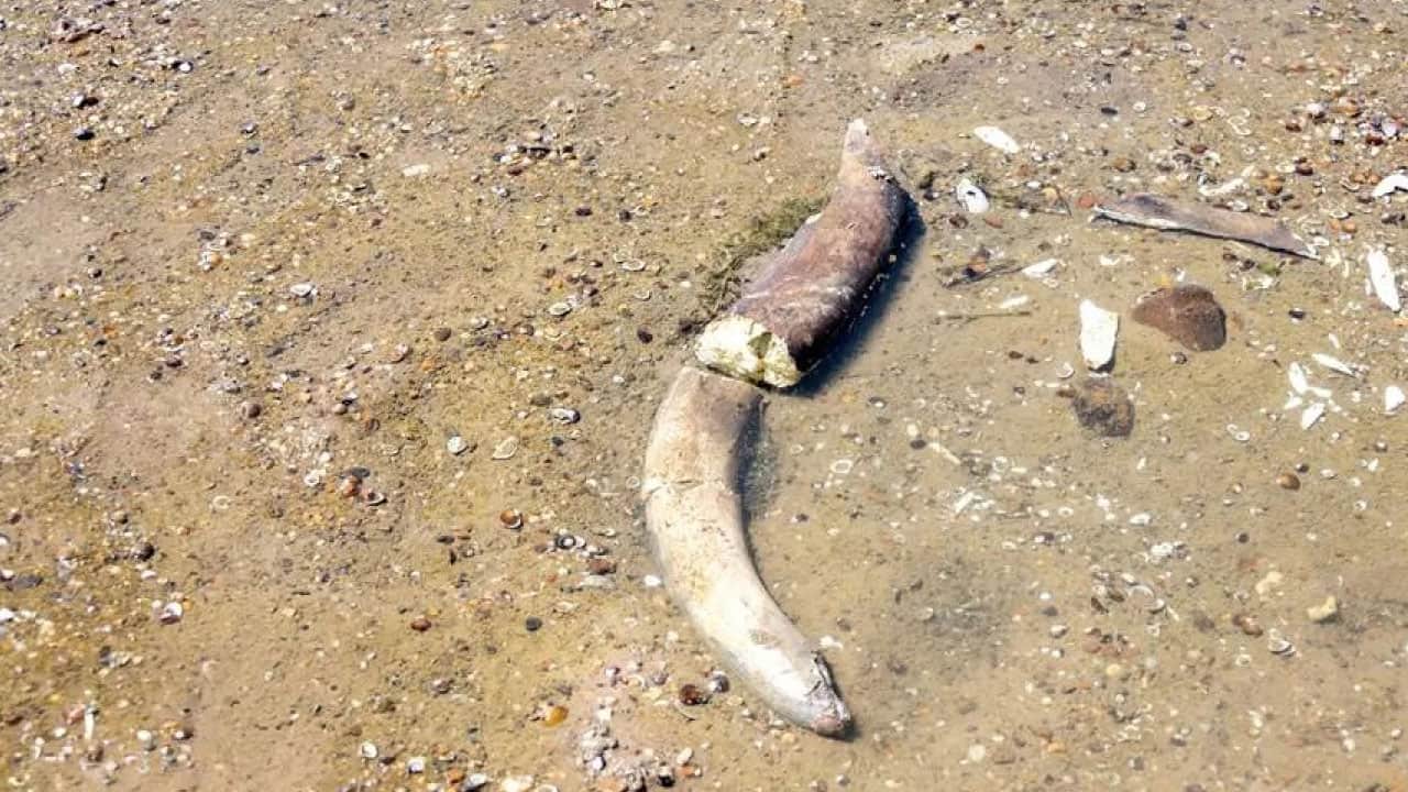 Foto - Kuraklık vurdu! Avrupa’da sular çekildi, tarihin karanlık izleri ortaya çıktı