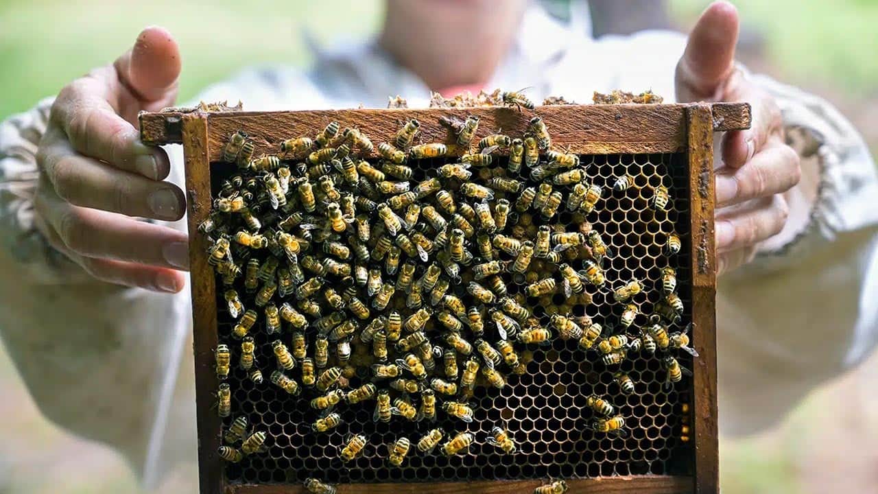 Foto - Kur'an-ı Kerim'de adları geçiyor! Bilim adamları şoke oldu