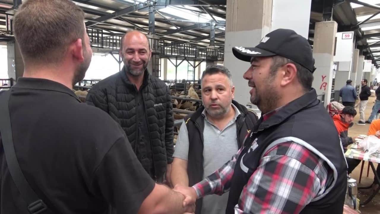 Kurban pazarında gülümseten anlar Çetin pazarlığa mali polis el koydu