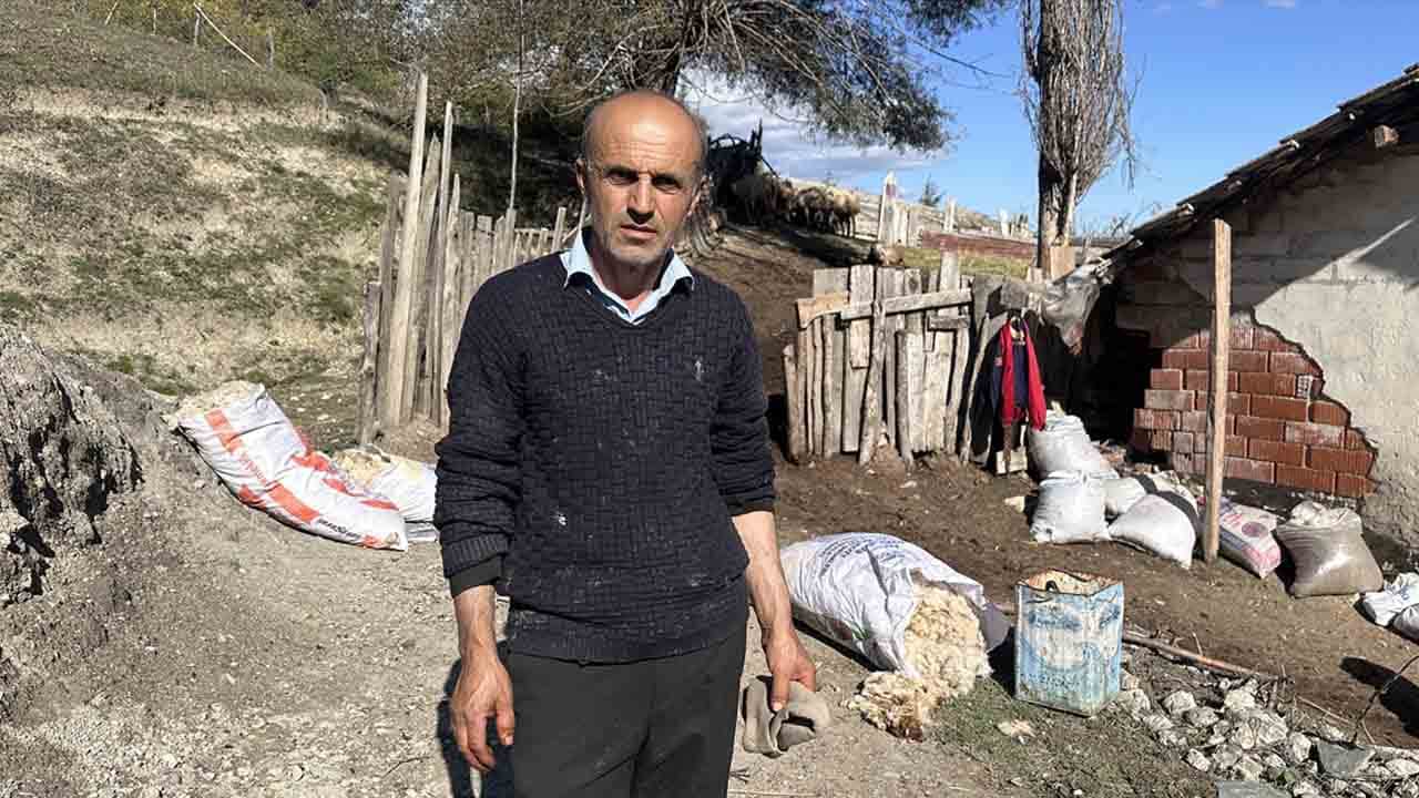 Foto - Kurtlar ahıra daldı: 18 koyunu telef etti