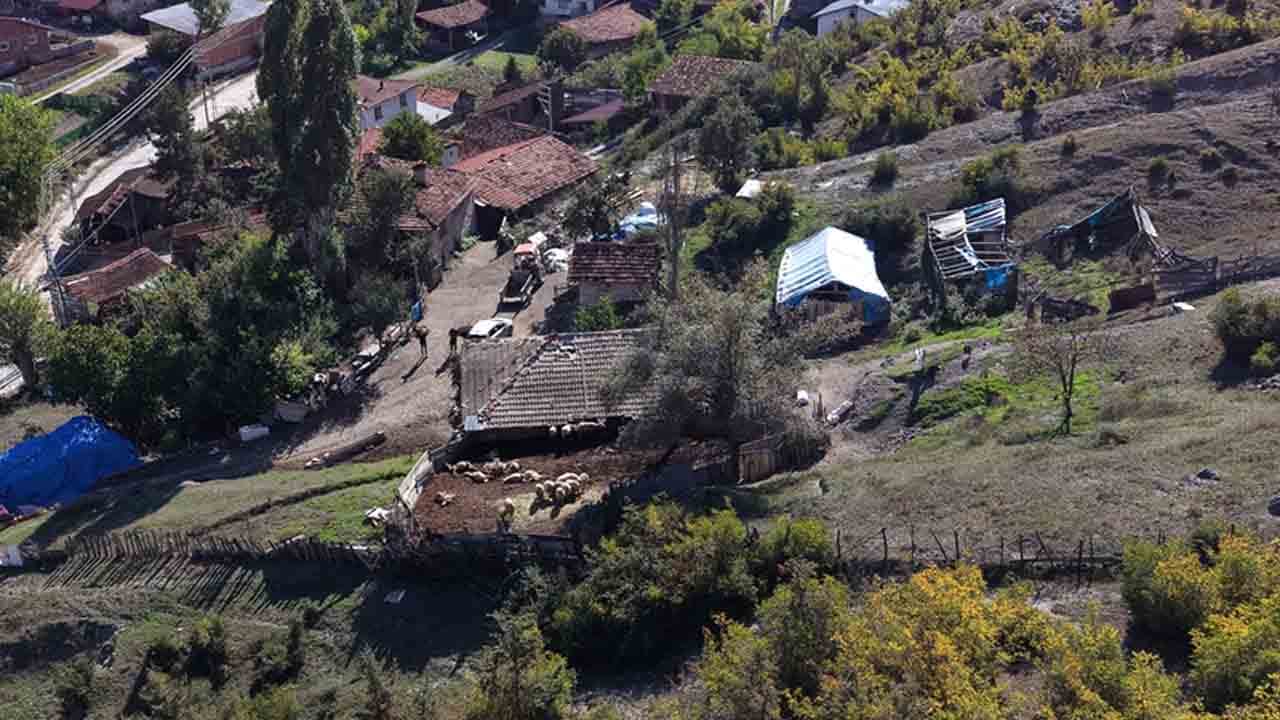 Foto - Kurtlar ahıra daldı: 18 koyunu telef etti