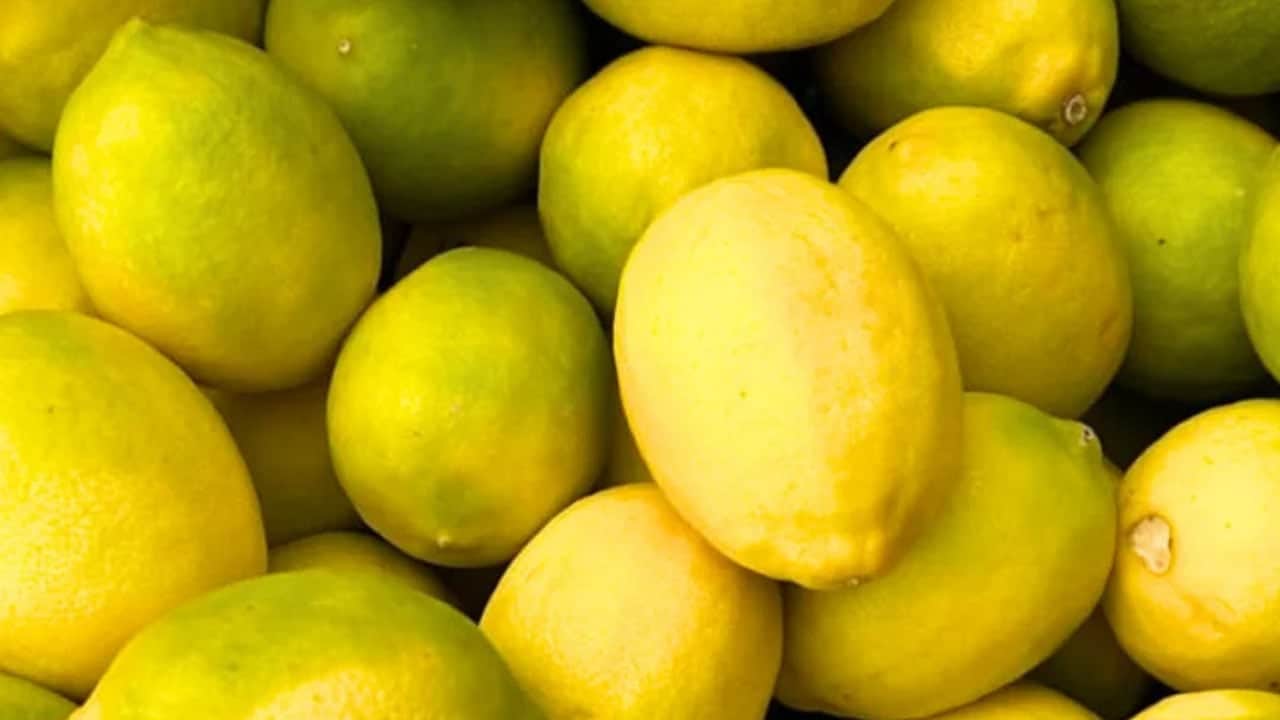 Foto - Limon 5 TL’ye alıcı bulamıyor: Markette 100 TL’ye kapış kapış satılıyor... Fiyatı tartışma konusu oldu