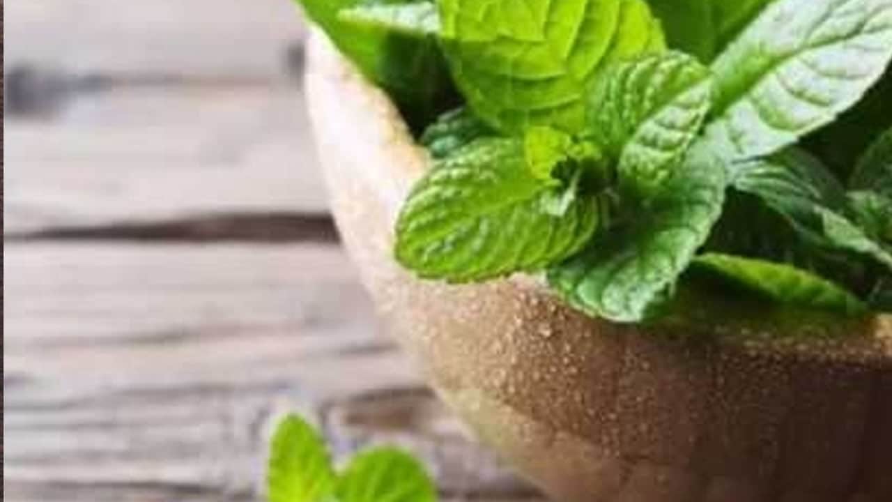 Foto - Limon tatlısı tarifi... Gelin siz de yapın: Potansiyeli var, bakın neymiş... Sosyal medyada bulunan kullanıcılar çağırdı